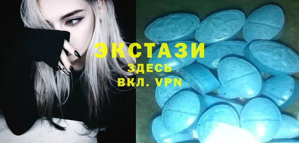 прущие грибы Горно-Алтайск