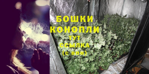 прущие грибы Горно-Алтайск