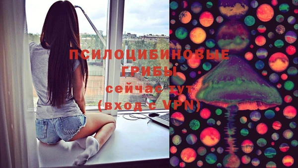 спиды Горняк