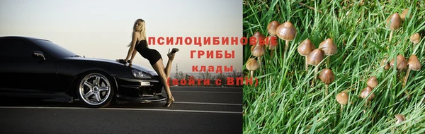 марки nbome Гусев