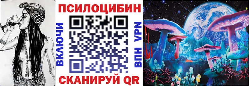 Купить где  Кинель  Галлюциногенные грибы Psilocybe 